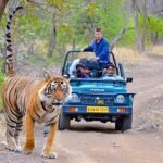 10 Days Rajasthan & Golden Triangle with Tiger Safari Tour by Car - Overall Value and Who Will Love This Tour