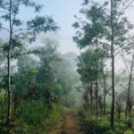 12 Hours Private Munnar Tour from Kochi - Practical Considerations: Transportation & Pricing