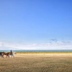 14 Day Epic Kyrgyzstan Trek in Tian Shan and Pamir Alay Mountains - Value and Cost Analysis