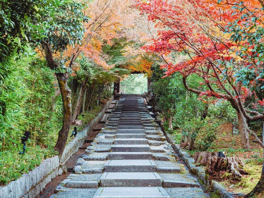 [2.3km/1.43mi] Kyoto Higashiyama Early Morning Walking Tour - Who Will Love This Experience?