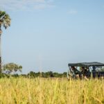 2-Day : Angkor Sunrise, Kompong Phluk Sunset & Banteay Srei Tour - Exploring the Iconic Temples