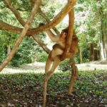 2-Day Angkor Wat Tour from Bangkok - Why This Tour Offers Great Value