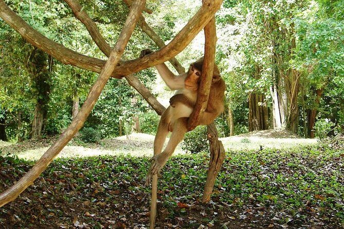 2-Day Angkor Wat Tour from Bangkok - Why This Tour Offers Great Value