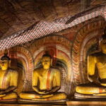 2-Day Cultural & Wildlife Tour to Sigiriya & Minneriya - What Makes This Tour Stand Out