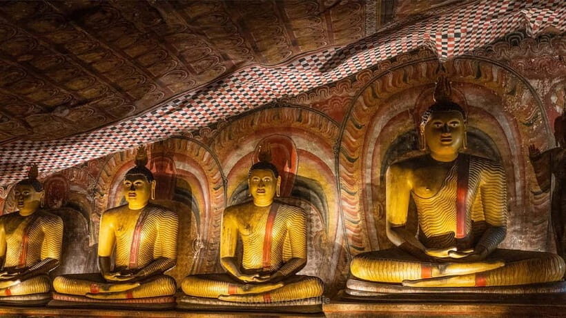 2-Day Cultural & Wildlife Tour to Sigiriya & Minneriya - What Makes This Tour Stand Out