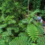 2-Day Daintree & Outback Tour from Cairns & Port Douglas - Exploring the Itinerary in Detail