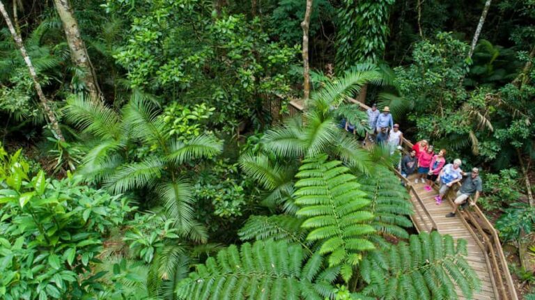 2-Day Daintree & Outback Tour from Cairns & Port Douglas - Exploring the Itinerary in Detail