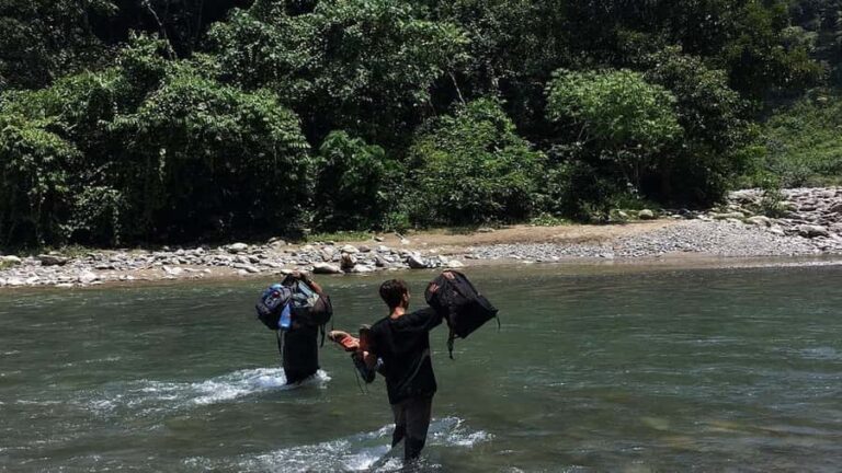 2-Day from Medan: Orangutan Bukit Lawang and Lake Toba Tour - Transportation and Group Size