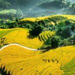 2-Day from Sapa: Majestic Valleys-True Homestay - Fansipan - Bike - Final Thoughts: Is It Worth It?