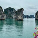2-Day Guided Bai Tu Long Bay Boutique Cruises From Ninh Binh - Day 2: Morning Tai Chi & More Exploration