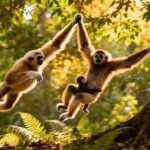 2-Day Hoolock Gibbons Wildlife Tour from Guwahati - Night at a Comfortable Lodge