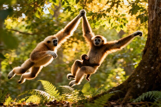 2-Day Hoolock Gibbons Wildlife Tour from Guwahati - Night at a Comfortable Lodge