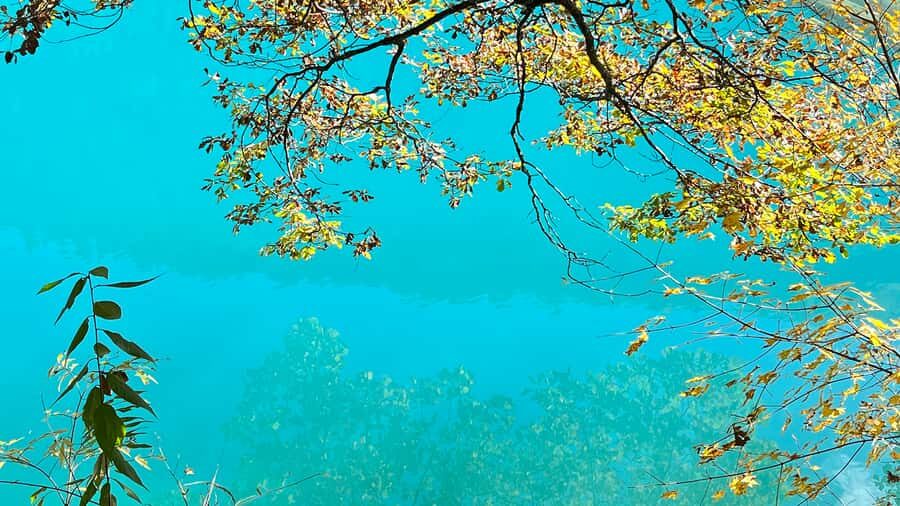 2-Day Jiuzhaigou Tibetan Culture Exploration Tour - The Sum Up