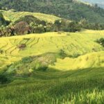 2-Day Motorbike Tour to Mu Cang Chai Loop from Sapa - The Value of This Tour