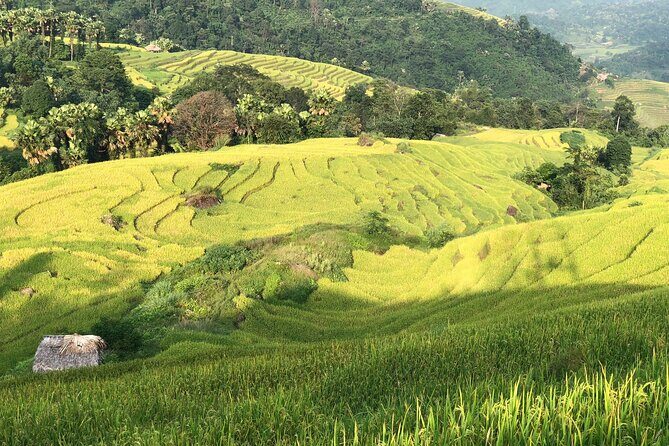 2-Day Motorbike Tour to Mu Cang Chai Loop from Sapa - The Value of This Tour