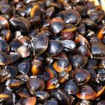 2-day One way Bus Tour from KOKURA around IZUMO to HIROSHIMA - Why the Tour Offers Good Value