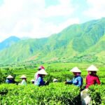 2-Day Private Car Tour from Sa Pa to Mu Cang Chai - Practical Aspects and What You Can Expect