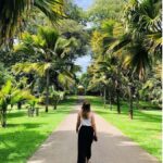 2 Day:Kandy, Ambuluwawa & Sigiriya Dambulla Guided Day Tours - The Itinerary Breakdown: What You’ll Experience