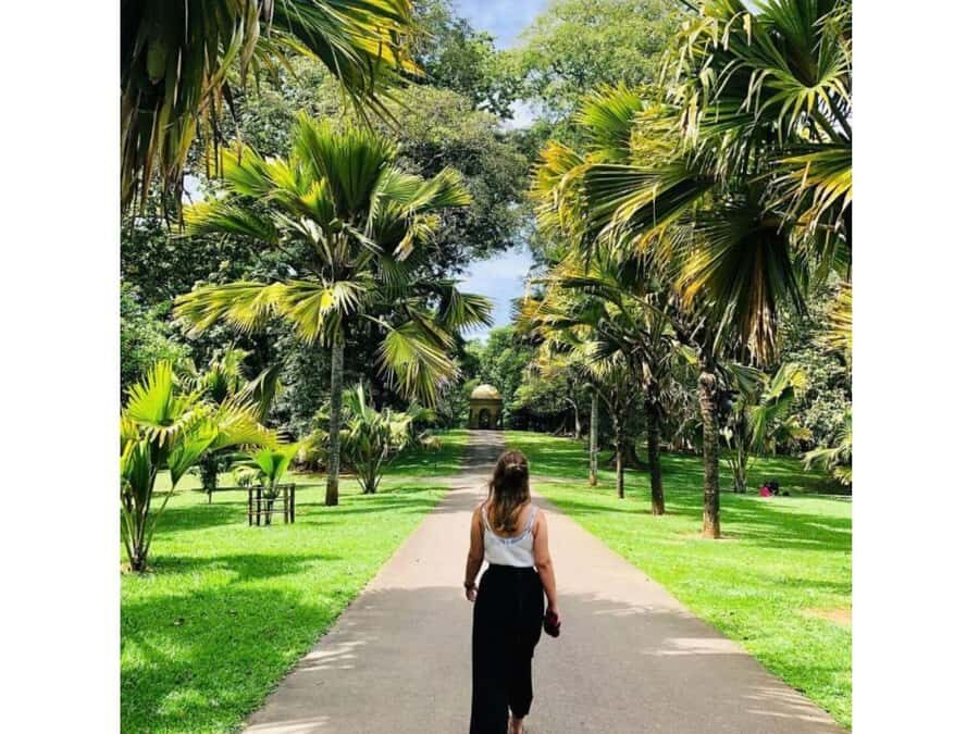 2 Day:Kandy, Ambuluwawa & Sigiriya Dambulla Guided Day Tours - The Itinerary Breakdown: What You’ll Experience