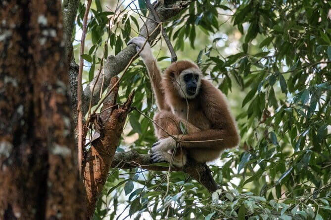 2 Days Ethical Jungle Trek in Sumatra - Final Thoughts: Is It Worth It?