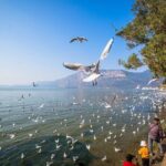 2 Days Kunming City Tour with Professional Private Tour Guide - Deep Dive into the Itinerary