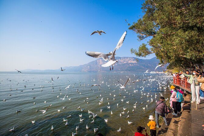 2 Days Kunming City Tour with Professional Private Tour Guide - Deep Dive into the Itinerary