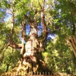 2 Days Smangus Adventure in Taiwan - What We Like About This Tour