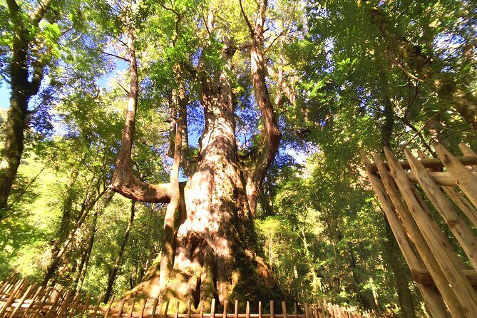 2 Days Smangus Adventure in Taiwan - What We Like About This Tour