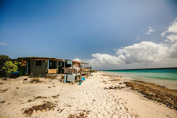 2 Hour Individual Island South Tour on Bonaire for 1 - 12 persons - In-Depth Look at the Experience