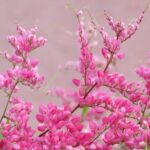 2 Hour Private Guided North Island Tour for singles or doubles - Practical Aspects of the Tour