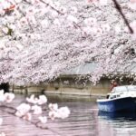 2 Hours Private Cruising Boat Tour;Tokyo Bay & River - Who Is This Tour Best Suited For?