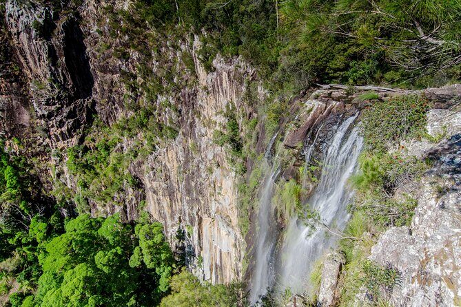 2 Night Rainforest Glamping Adventure near Byron Bay - Food and Dining Experience