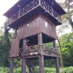 2-Night Treehouse Tower Night Stay in Chitwan National park - Why This Experience Stands Out