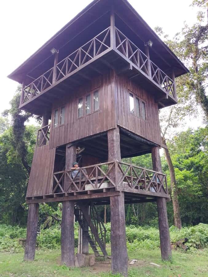2-Night Treehouse Tower Night Stay in Chitwan National park - Why This Experience Stands Out