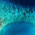 2 Tank Guided Dive half-day - What Makes This Tour Stand Out?