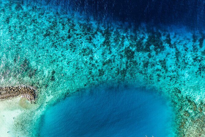 2 Tank Guided Dive half-day - What Makes This Tour Stand Out?