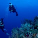 2-Tank Scuba Boat Trip in World-Class Sites @ Copamarina - Why This Tour Offers Great Value