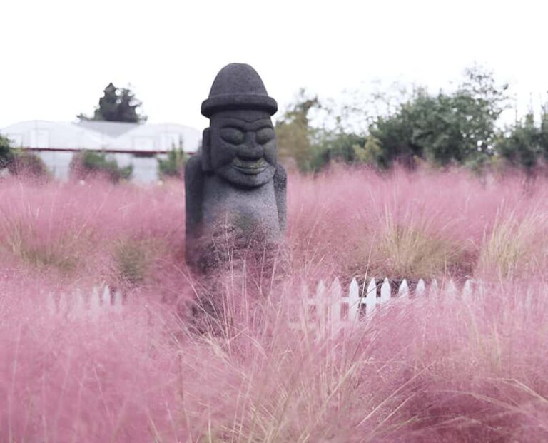 2025 Jeju Autumn Tour with Pink Muhly Festival Hotel pickup - The Value of This Tour