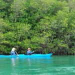 2D1N Komodo Kayak Tour - What Travelers Can Expect