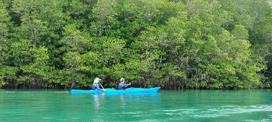 2D1N Komodo Kayak Tour - What Travelers Can Expect