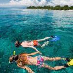 2D1N Snorkeling & Stay: Explore 3 Gili + Gili Trawangan - What You Can Expect from the Snorkeling