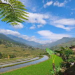 2D1N Trek: Ta Van & Lao Chai Rice Terrace Trails - Detailed Breakdown of the Experience