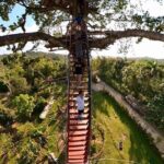 2in1: Los Haitises National Park + Yanigua Waterfall-SPA - Final Thoughts: Who Will Appreciate This Tour?