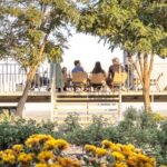 3-Day 2-Nignt Wine Taste Through China's Wine Region of Ningxia - Is It Worth the Price?