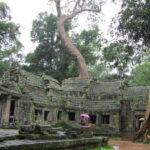 3-Day Angkor, Kompong Phluk & Roluos Temples Tour - What Makes This Tour Stand Out?