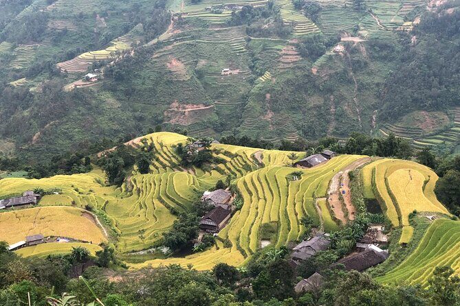 3 Day Bac Ha and Ban Phung Motorbike Tour from Sapa - Day 1: Cultural Deep Dive in Bac Ha