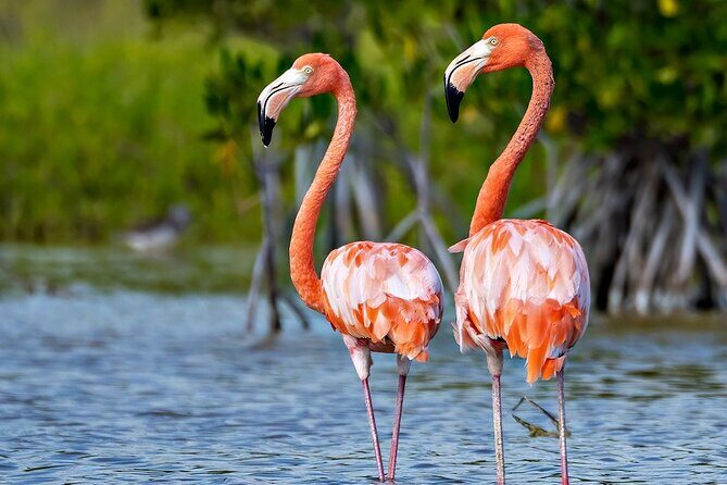 3-Day Bird Watching Tour in the Sierra de Bahoruco - Who Is This Tour Best Suited For?