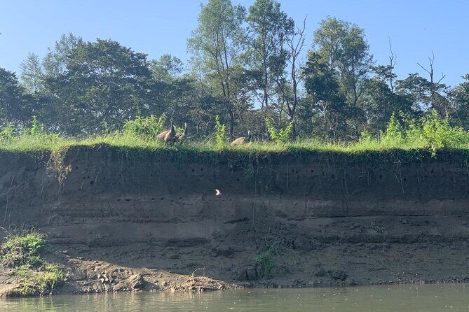 3-Day Chitwan Jungle Safari from Kathmandu  All-Inclusive Tour - What Sets This Tour Apart?