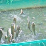 3-Day Guided Tour with Stay and Discovery in Mekong Delta - What Travelers Love About This Tour