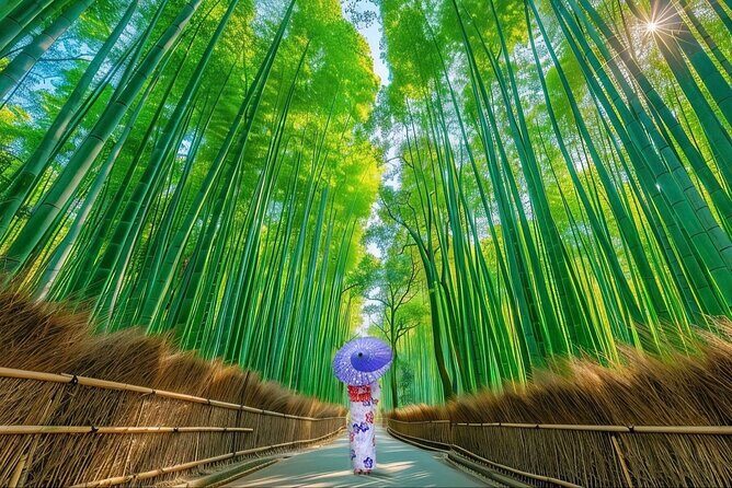 3 Day Private Osaka Kyoto and Nara Tour - Final Thoughts